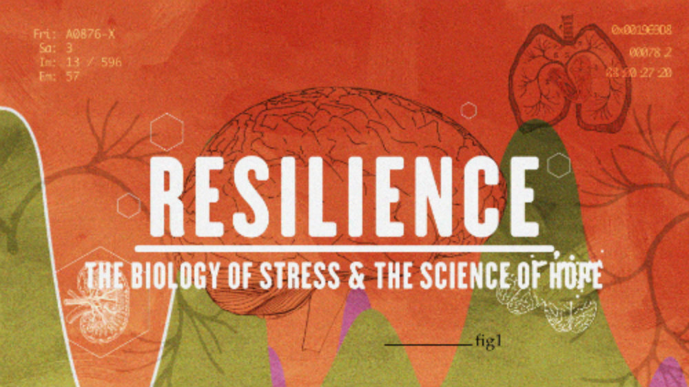 resilience graphic